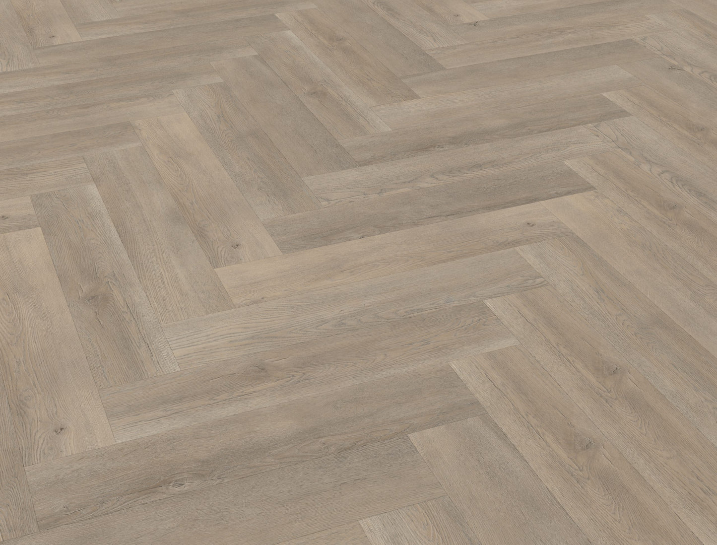 Belakos Palazzo visgraat XL 70 | Bruin