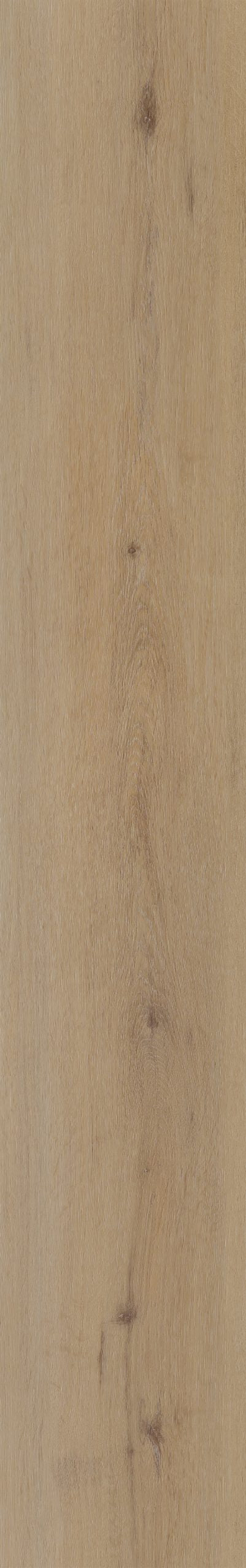 Belakos Attico 800 | Bruin