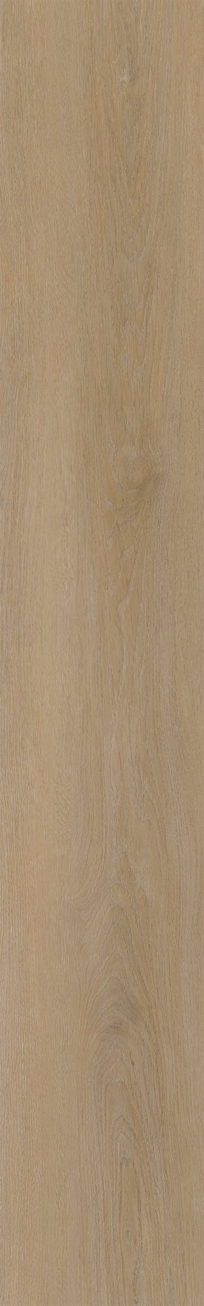 Belakos Attico 810 | Bruin