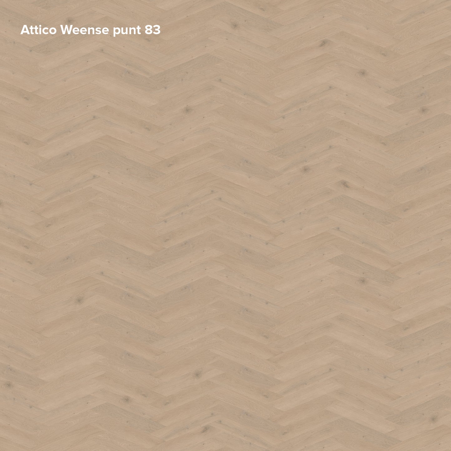 Belakos Attico Hongaarse punt | Weense punt 83 | Bruin