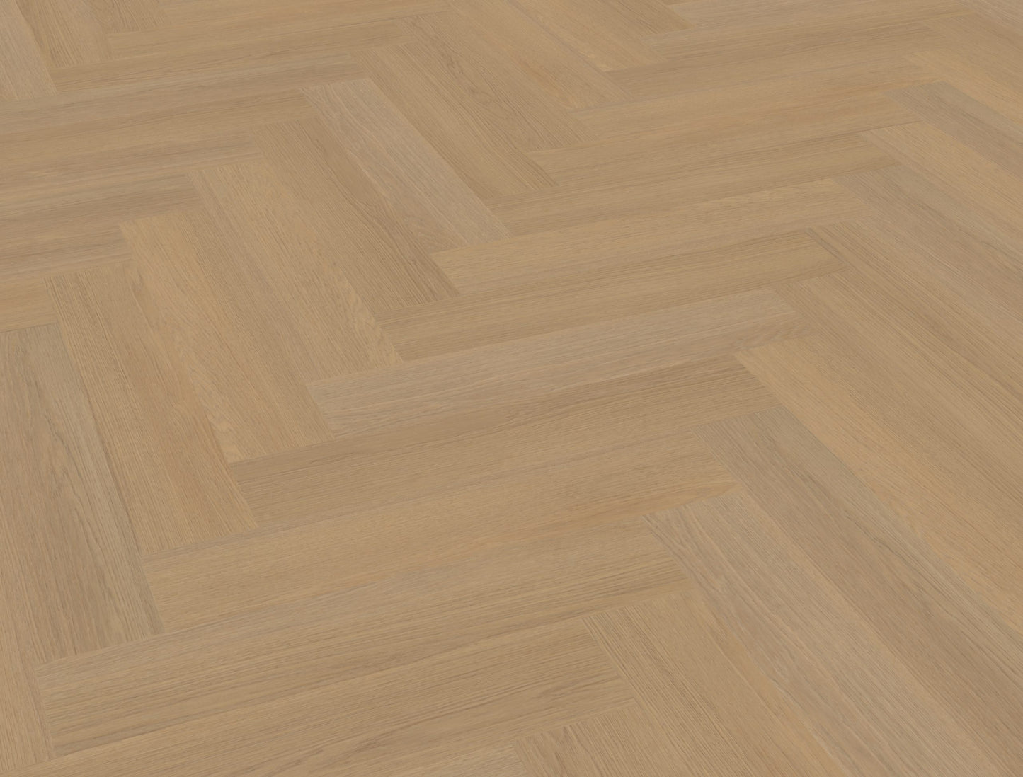 Belakos Futuro visgraat XL 50 | Bruin