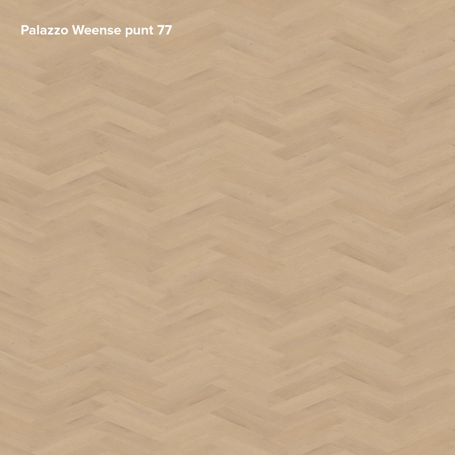 Belakos Palazzo Hongaarse punt | Weense punt 77 | Bruin