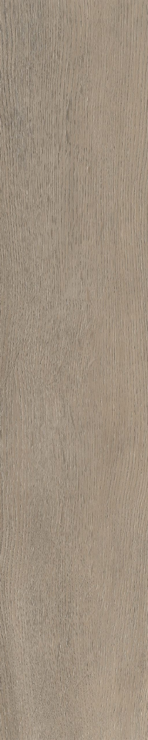 Belakos Palazzo visgraat XL 70 | Bruin