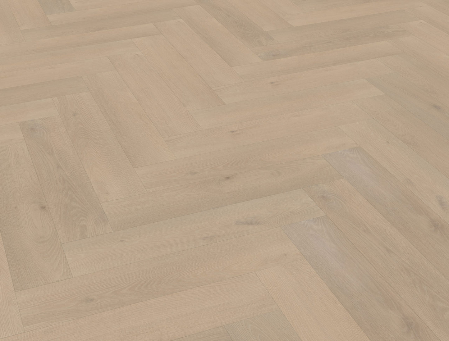 Belakos Palazzo visgraat XL 74 | Bruin