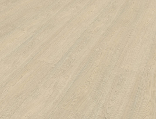 Belakos Terreno 620 | Bruin