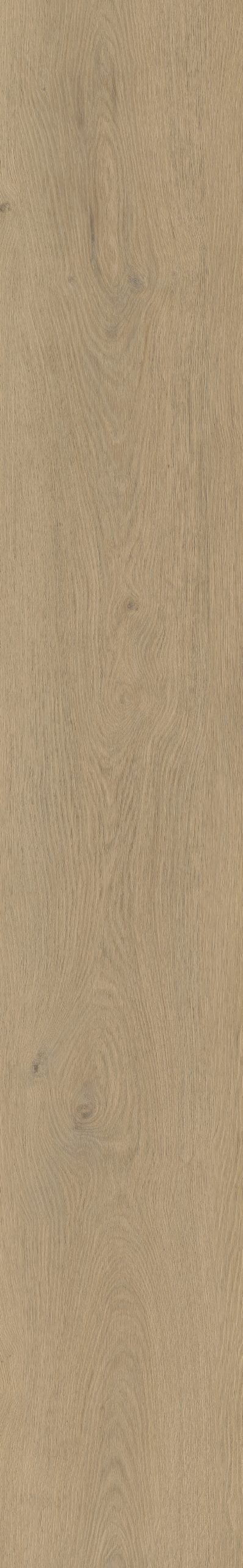 Belakos Attico 870 | Rigid Click | Bruin