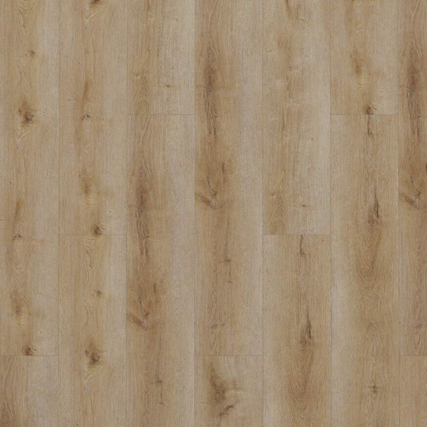 Gelasta Dynamic Natural Smoked