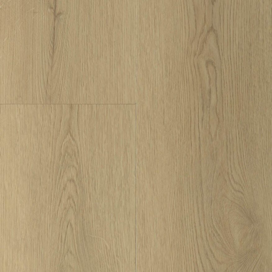 Gelasta Sierra Rigid Click Natural