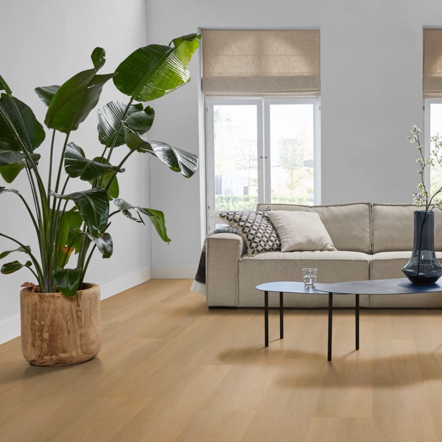 Ambiant Sentima klik (Dark Oak)