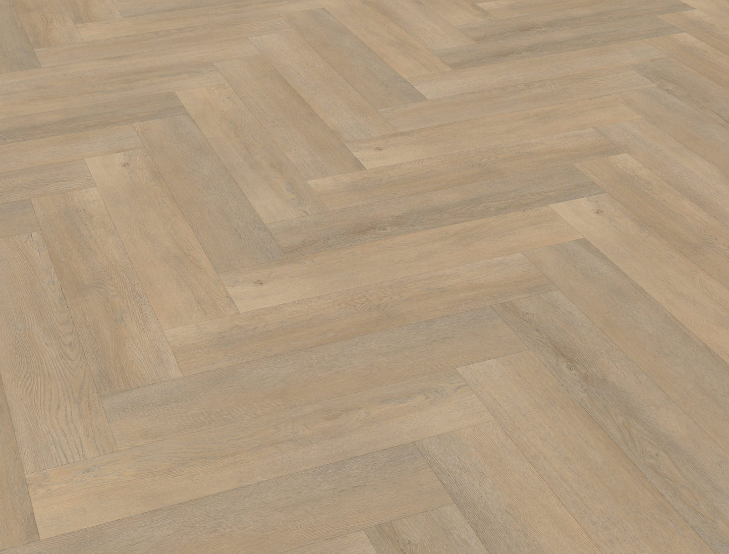 Belakos Palazzo visgraat XL 71 | Bruin