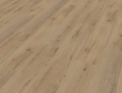 Belakos Attico 800 | Bruin
