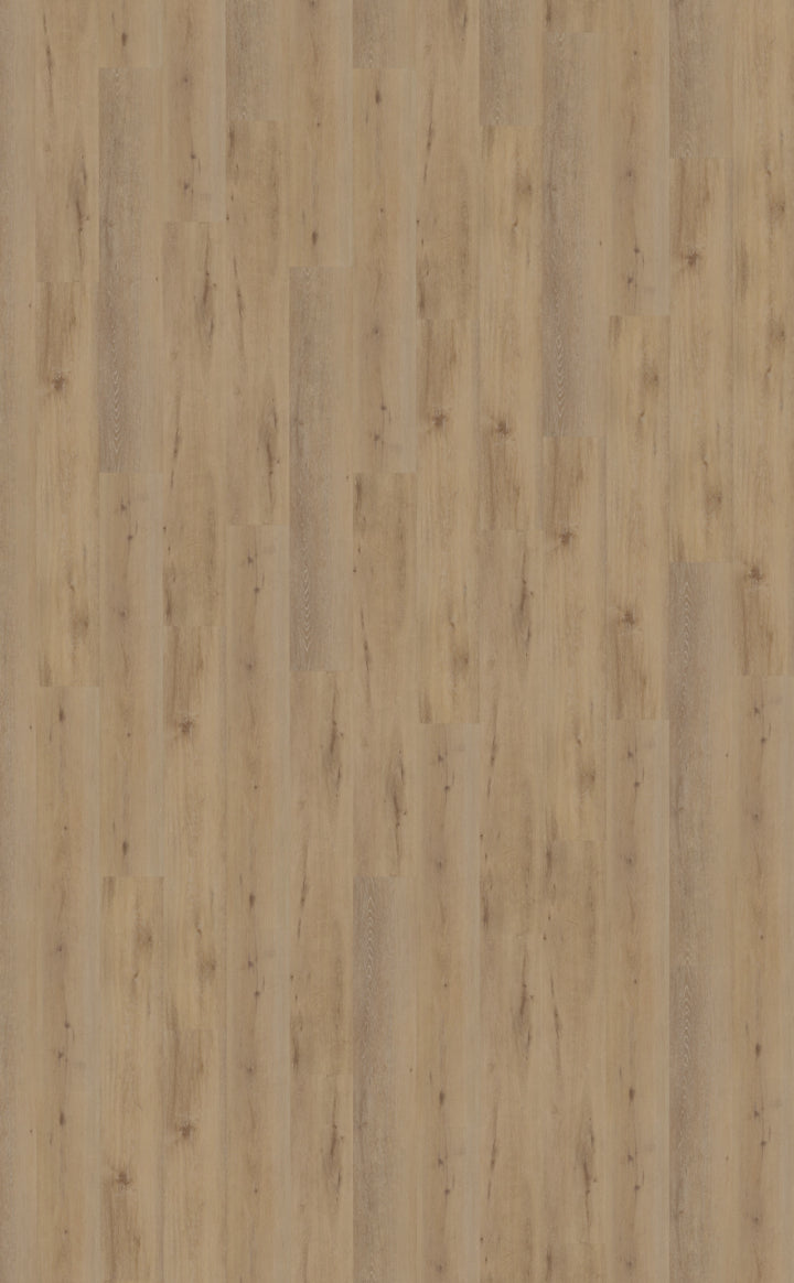 Belakos Attico 800 | Bruin