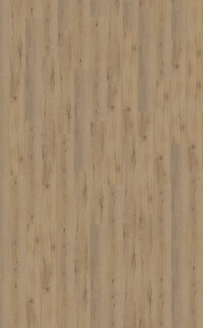 Belakos Attico 800 | Bruin