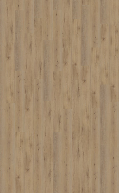 Belakos Attico 800 | Bruin