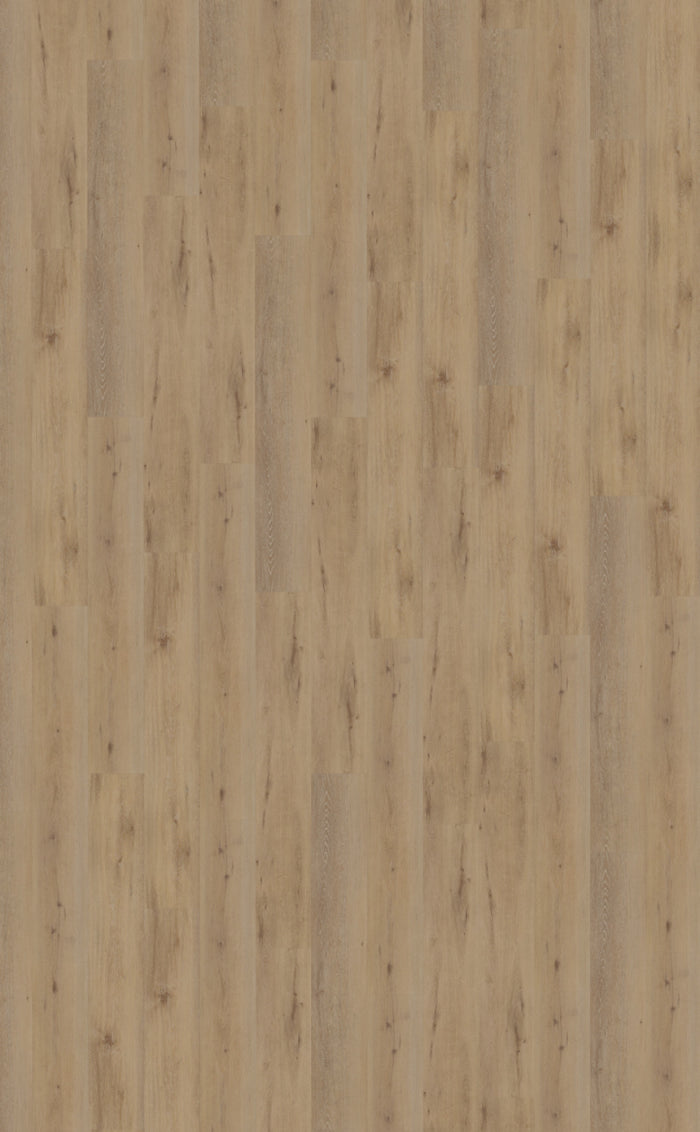 Belakos Attico 800 | Bruin