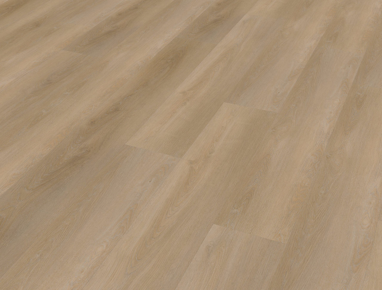 Belakos Attico 810 | Rigid Click | Bruin