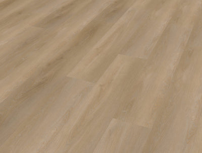 Belakos Attico 810 | Bruin
