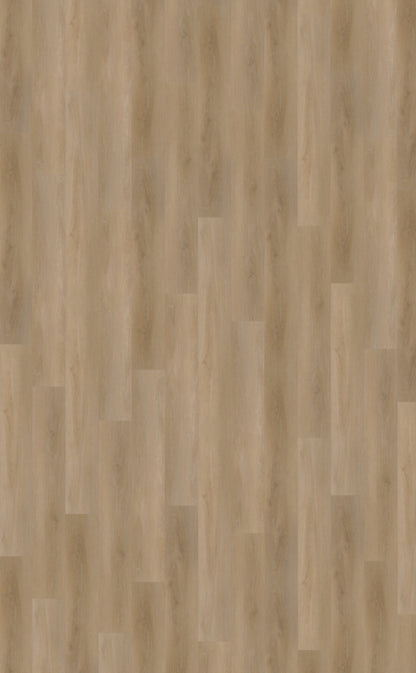 Belakos Attico 810 | Rigid Click | Bruin