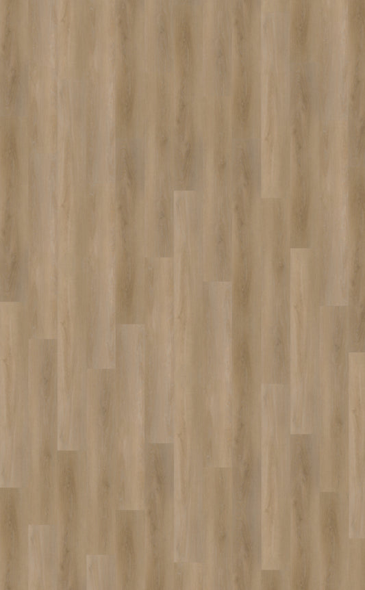 Belakos Attico 810 | Rigid Click | Bruin