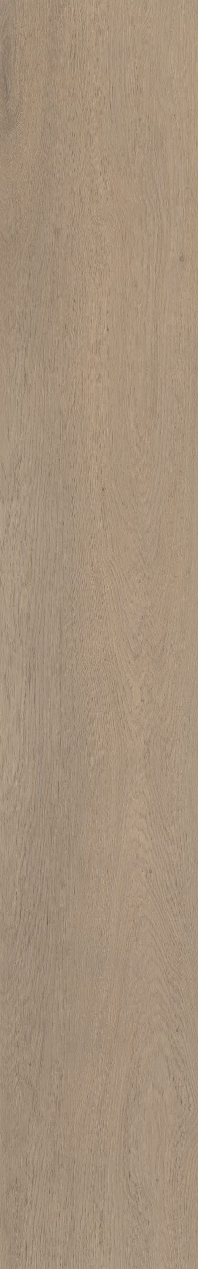 Belakos Attico 820 | Bruin