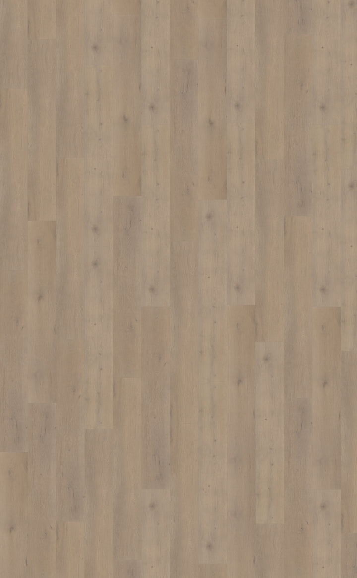 Belakos Attico 820 | Bruin
