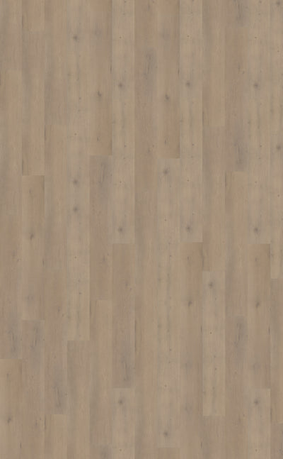 Belakos Attico 820 | Bruin