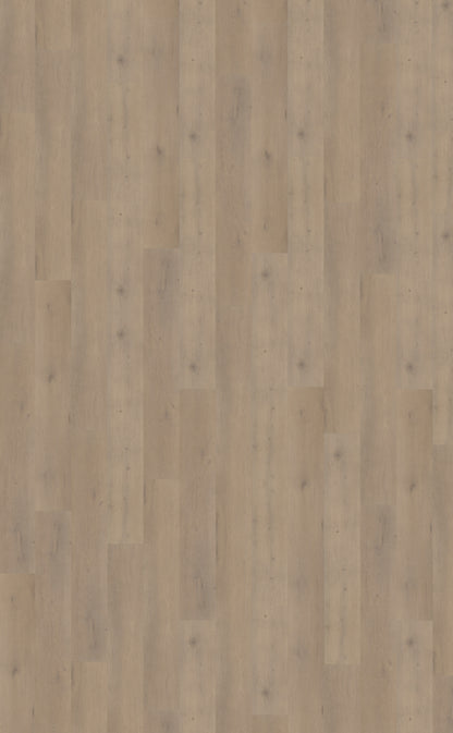 Belakos Attico 820 | Bruin