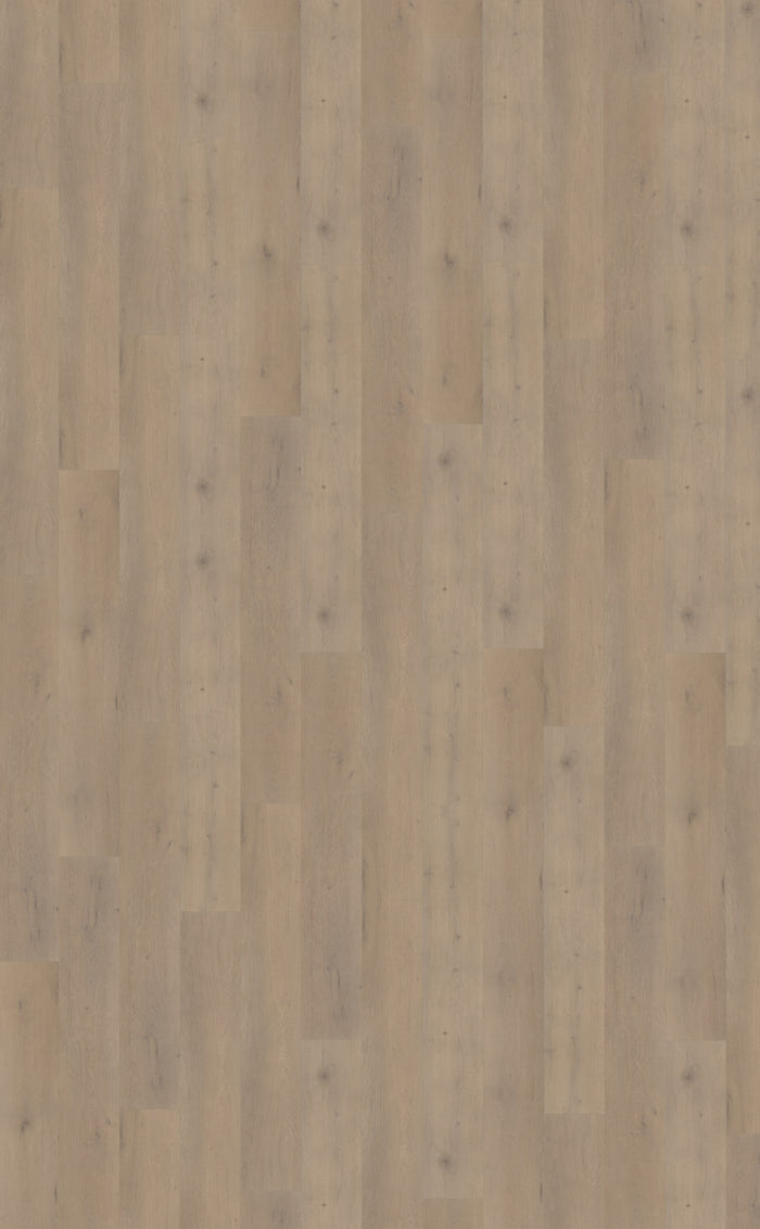 Belakos Attico 820 | Bruin