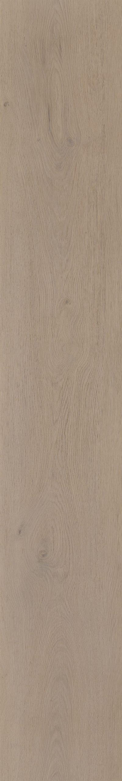 Belakos Attico 830 | Bruin