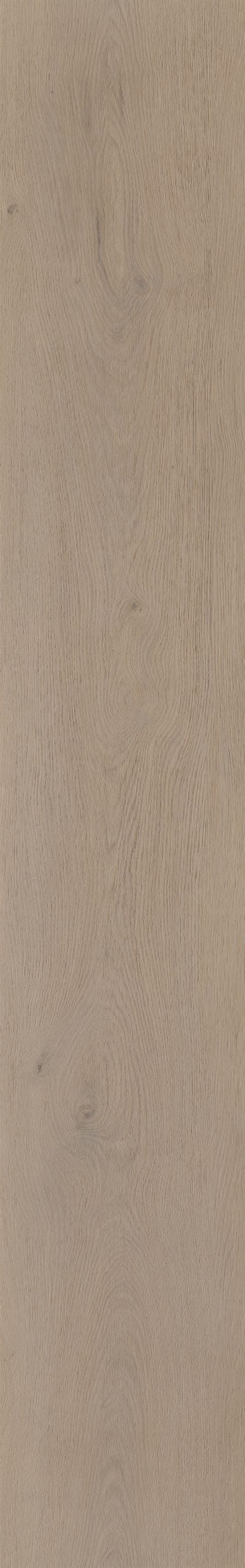 Belakos Attico 830 | Rigid Click | Bruin