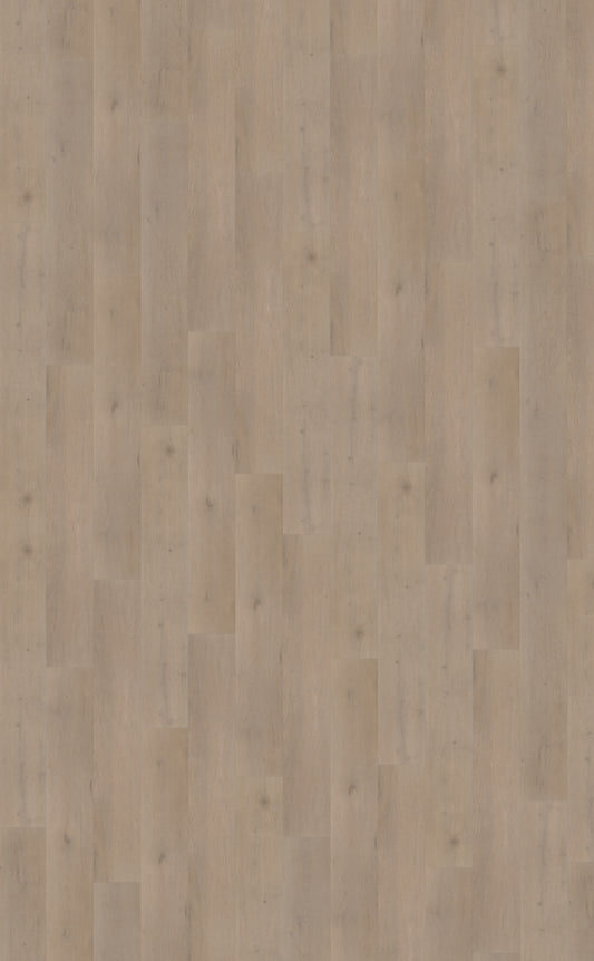 Belakos Attico 830 | Bruin