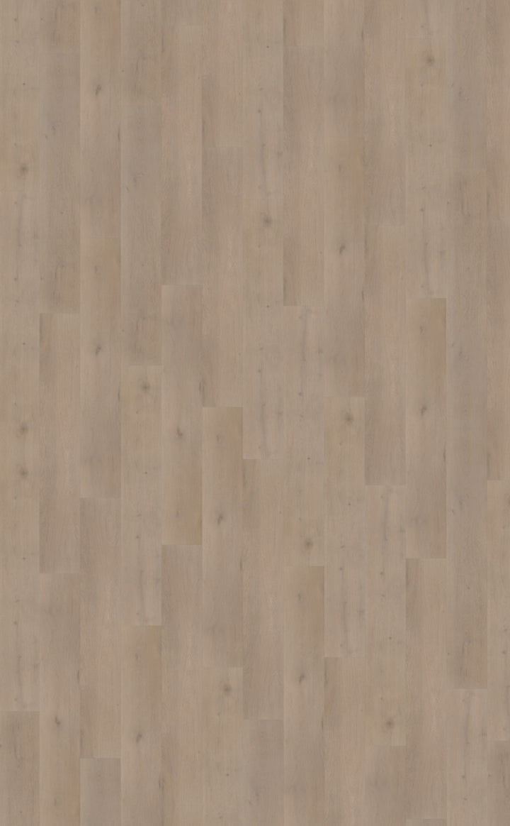 Belakos Attico 830 | Rigid Click | Bruin