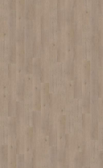 Belakos Attico 830 | Rigid Click | Bruin