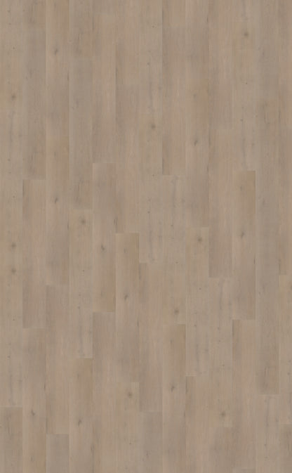 Belakos Attico 830 | Rigid Click | Bruin