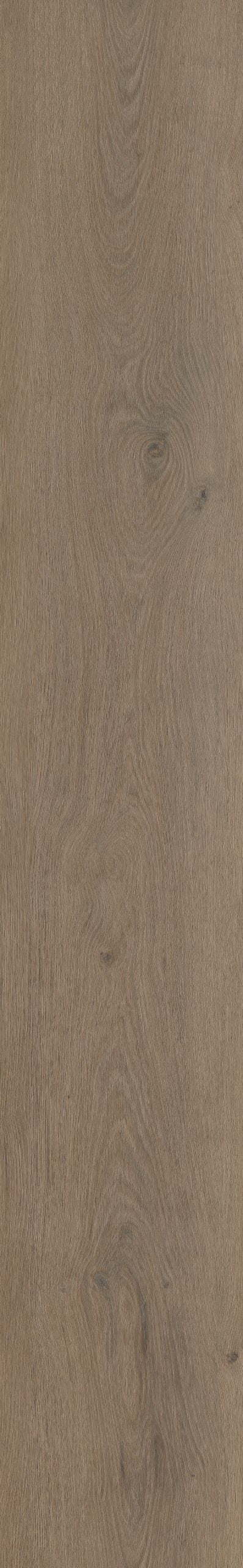 Belakos Attico 840 | Rigid Click | Bruin