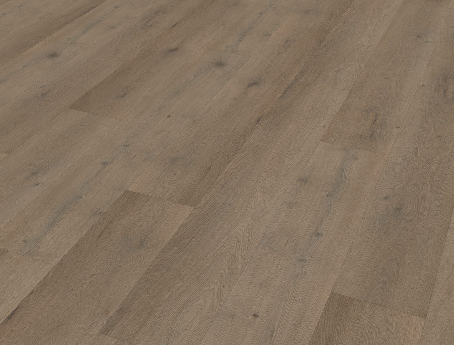 Belakos Attico 840 | Bruin