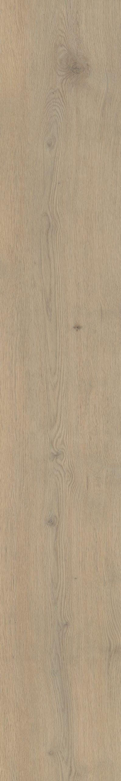 Belakos Attico 860 | Rigid Click | Bruin