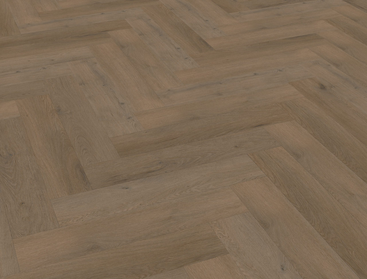 Belakos Attico visgraat XL 84 | Bruin