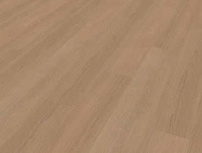 Belakos Futuro 500 | Rigid Click | Bruin