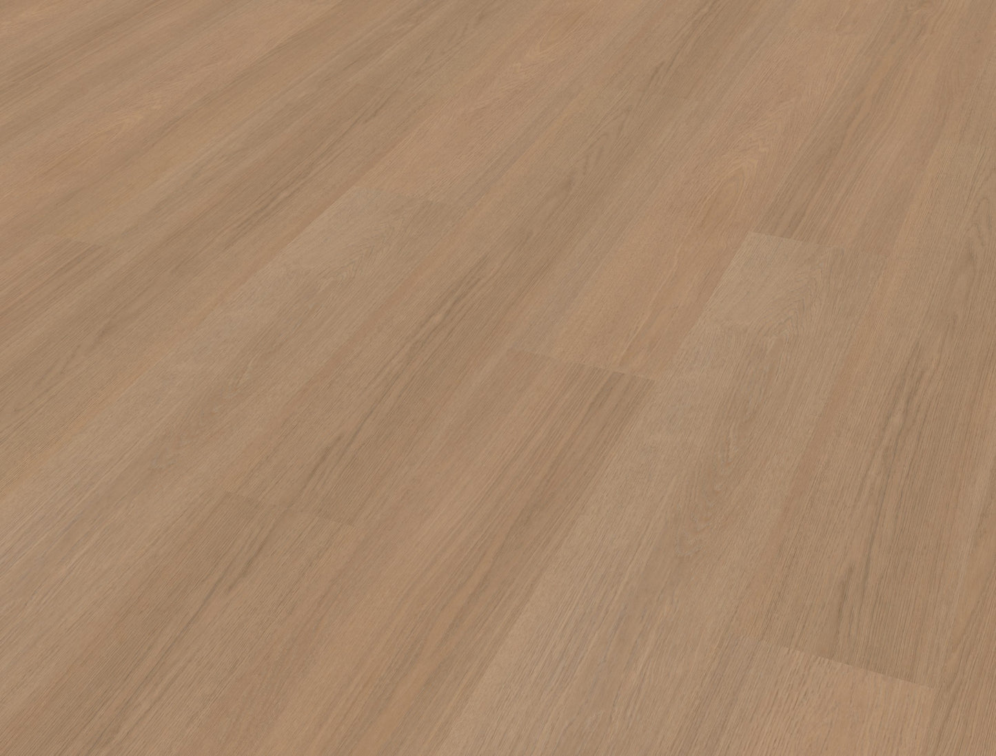 Belakos Futuro 500 | Bruin