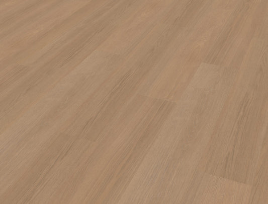 Belakos Futuro 500 | Bruin