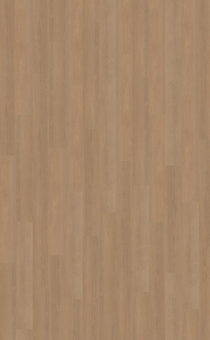 Belakos Futuro 500 | Rigid Click | Bruin