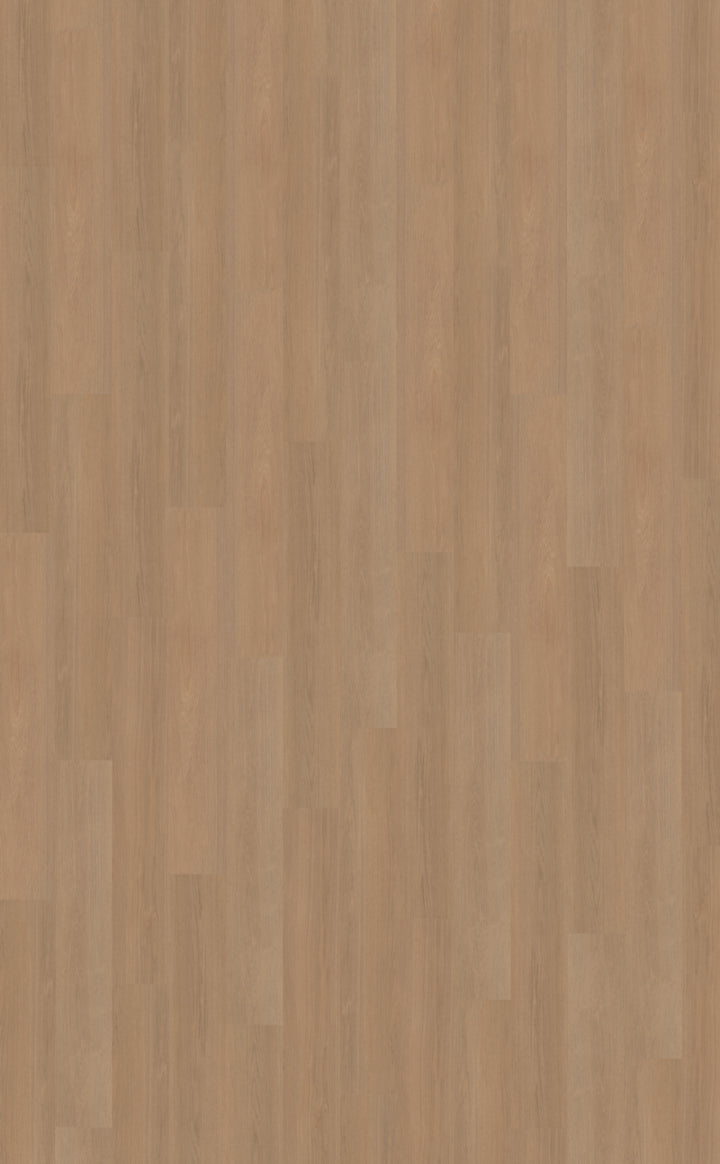 Belakos Futuro 500 | Bruin