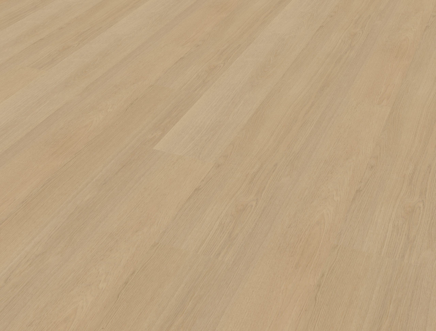 Belakos Futuro 510 | Bruin