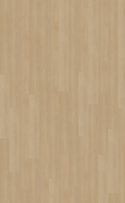 Belakos Futuro 510 | Bruin