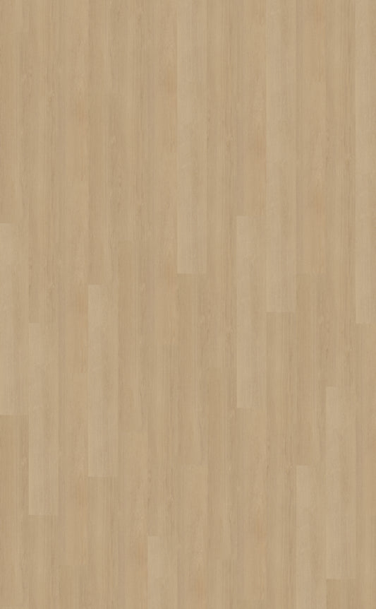 Belakos Futuro 510 | Bruin