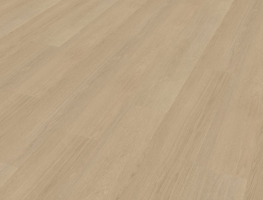 Belakos Futuro 520 | Bruin