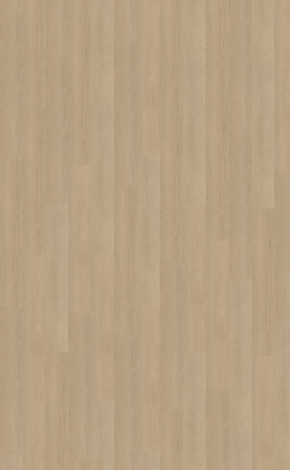 Belakos Futuro 520 | Bruin