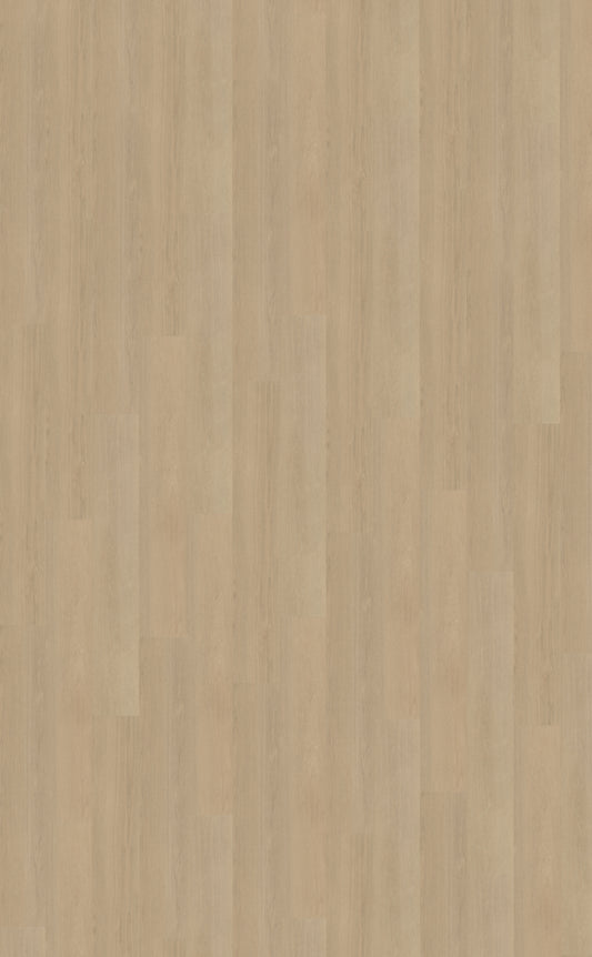 Belakos Futuro 520 | Bruin