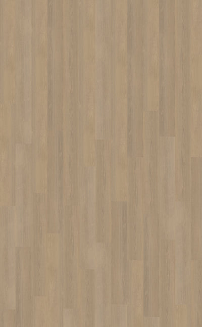 Belakos Futuro 530 | Bruin